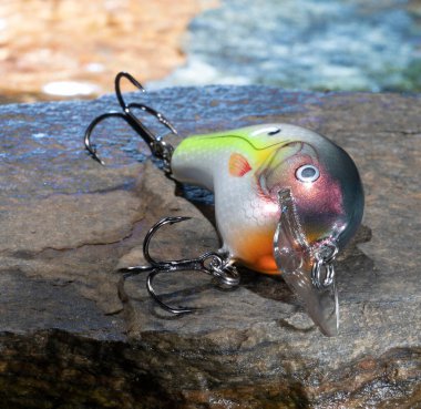 Arkasında su olan bir kayanın üzerindeki renkli balık yemi.