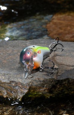 Suyla çevrili bir kayanın üzerindeki yapay balık yemi.