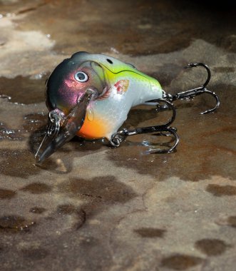 Rutubetli bir kayaya kancalarla olta atmak