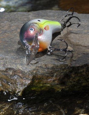 Su, parlak bir balık yemi etrafında bir kayanın üzerinde.