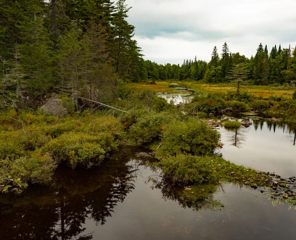 Small Creek Pools Water Makes Maine Early Fall — Stock Photo, Image