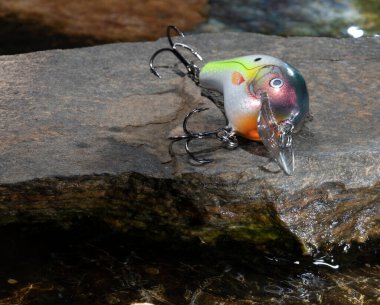 Bir kayanın üzerindeki yemin etrafındaki su.