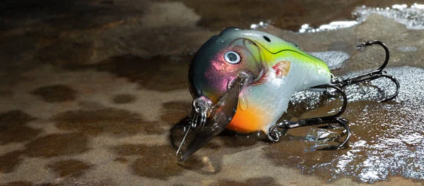 Sırılsıklam Olmuş Renkli Balık Yemi — Stok fotoğraf