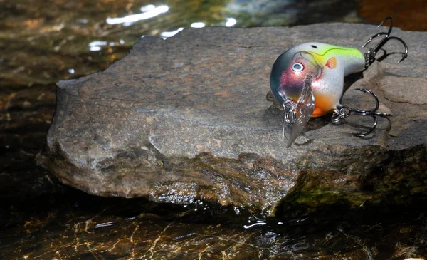 Suyla Çevrili Bir Kayanın Üzerinde Balık Yemi — Stok fotoğraf