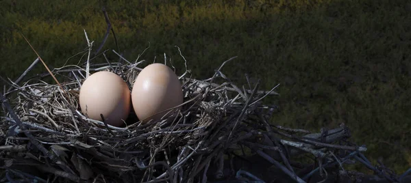 Two Chicken Eggs Nest Hoping Provide Protection Night — Stock Photo, Image