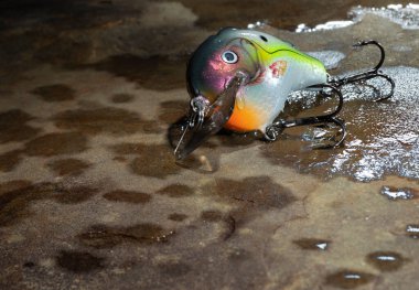 Sırılsıklam olmuş renkli balık yemi.