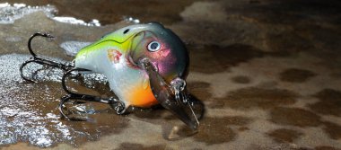 Islak bir taşın üzerindeki yapay balık yemi.