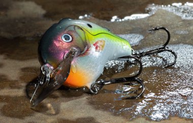 Çift kancalı balık yemi Islak bir kayanın üzerinde