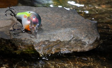 Suyla çevrili bir kayanın üzerindeki yapay balık yemi.