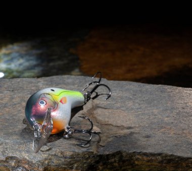 Arkasında sakin su olan bir kayanın üzerindeki parlak balık yemi.