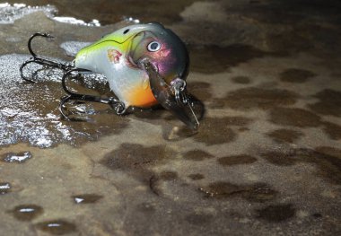 Islak bir kayanın üzerindeki yapay balık yemi.