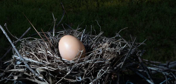 Nest Ein Einziges Hühnerei Hinter Dem Dunkelheit Über Die Weide — Stockfoto