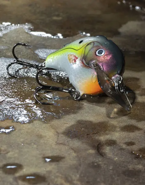 Fishing Lure that is on a wet stone