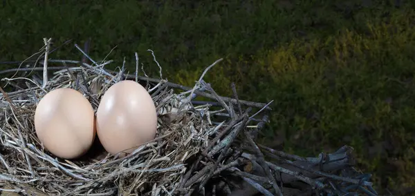Sunrise signalling breakfast and there\'s two chicken eggs in the nest