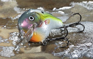 Crankbait used for fishing on a wet rock clipart