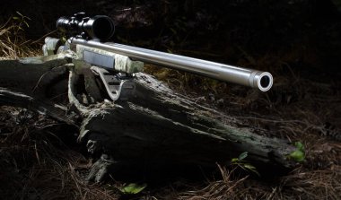 Parlak ışıklandırılmış 50 kalibrelik namlu içi doldurucu ve av sezonuna hazır optikle karanlık orman tabanı.