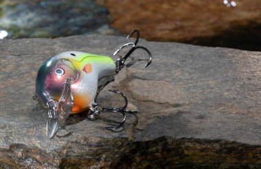 Bir kayanın üzerindeki balık yeminin arkasında akarsu var.