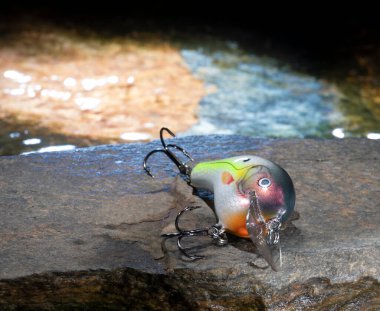 Bir kayanın üzerindeki balık yeminin arkasındaki parlak su.