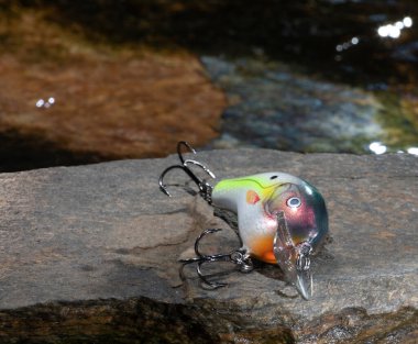 Suyla çevrili bir kayanın üzerindeki yem.