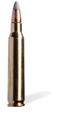 Gri ve beyaz polimer uçlu mermiler, 5.56 kalibrelik AR-15 mermileri için bir şarjördeki mermiyi yağlıyor..