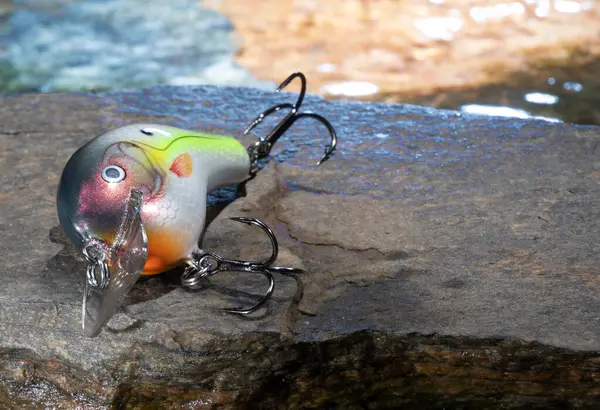 Bir kayanın üzerindeki balık yeminin arkasından akan su.