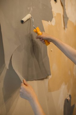 Duvarı yenilemek için duvar kağıdı soyarak ve bir rulo ile sıvı uygulayarak ev iyileştirmesi yaparak eller