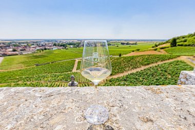 Vignes Nuits-Saint-Georges, 