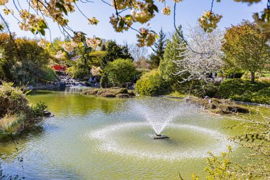 Dijon 'un Japon bahçesinde bahar renkleri... Le jardin japonais a Dijon aux couleurs du printemps.