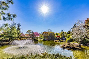 Dijon 'un Japon bahçesinde bahar renkleri... Le jardin japonais a Dijon aux couleurs du printemps.