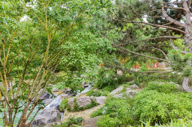 Dijon 'da sonbahar renklerinde bir Japon bahçesi. Le jardin japonais a Dijon aux couleurs de l'automne.