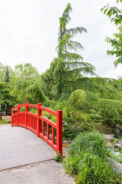 Dijon 'da sonbahar renklerinde bir Japon bahçesi. Le jardin japonais a Dijon aux couleurs de l'automne.