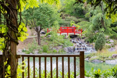 Le jardin japonais a Dijon en debut d. Yazın başında Dijon 'daki Japon bahçesi..