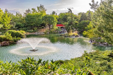 Le jardin japonais a Dijon en debut d. Yazın başında Dijon 'daki Japon bahçesi..