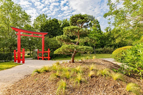 Le jardin japonais a Dijon en debut d. Yazın başında Dijon 'daki Japon bahçesi..