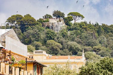 Yazın ortasında, kavurucu sıcakta ne kadar güzel ve büyüleyici. Cazibe ve cazibe en plein coeur de l 'ete sous une chaleur caniculaire.