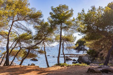 Sainte-Marguerite adasında, Cannes 'ın karşısındaki Lrins takımadasında. Sur l 'le Sainte-Marguerite, dans l' arşipel de Lrins Cannes 'la yüzleşiyor..