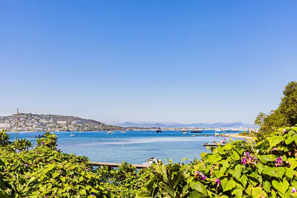 Island Sainte Marguerite Lrins Archipelago Cannes Sur Sainte Marguerite Dans — Stock Photo, Image