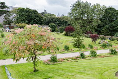 Abbaye de Kylemore dans le Connemara, oğlu Jardin Victorien. Connemara 'daki Kylemore Manastırı, Viktorya Duvarı Bahçesi.