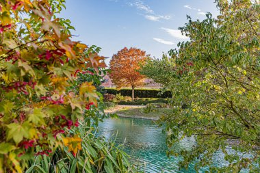 Dijon 'da sonbahar renklerinde Japon bahçesi. Le jardin japonais a Dijon aux couleurs de l'automne.