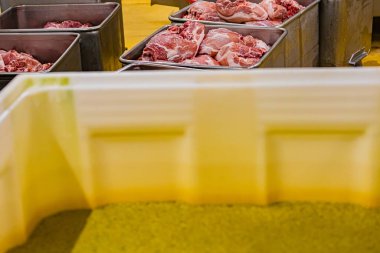 2 Eylül 2024 'te Chalon sur Saone' daki Chambade şirketinin üretim sahasında maydanoz..