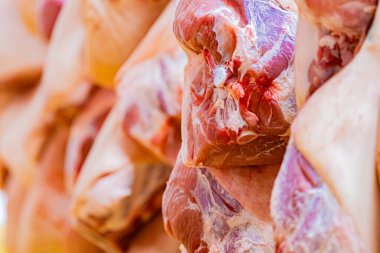 2 Eylül 2024 'te Chalon sur Saone' daki Chambade şirketinin üretim sahasında maydanoz..