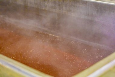 2 Eylül 2024 'te Chalon sur Saone' daki Chambade şirketinin üretim sahasında maydanoz..