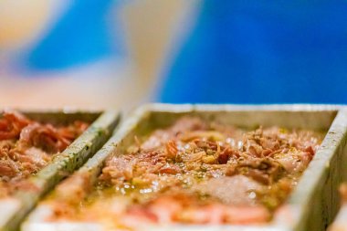 2 Eylül 2024 'te Chalon sur Saone' daki Chambade şirketinin üretim sahasında maydanoz..