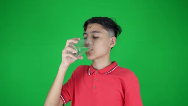 Jongen Die Vers Gezond Water Drinkt Leuke Jongen Drinkwater — Stockvideo
