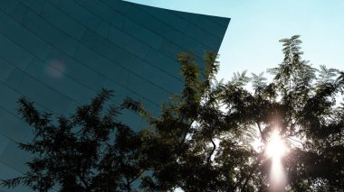 Metal mimarili ağaç ve güneş ışığı ve arka planda mavi gökyüzü