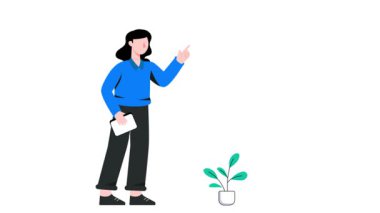 Web Profili 2B Düz Canlandırma