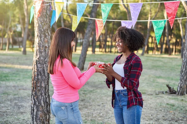 公園でパーティーをしながら友人に贈り物をする女性 友情の概念 — ストック写真