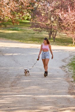 Güzel bir esmer kadın sevgili köpeğini gezdirirken güneşli bir günün tadını çıkarıyor.. 