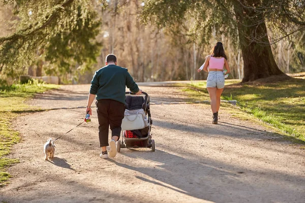 stock image young couple walking with their baby and dog in the afternoon in the park