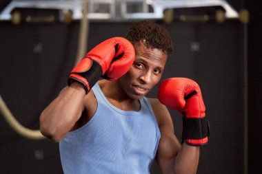  Kendine güvenen siyah boksör, savunma pozisyonunda eldivenli, Ren nehrindeki her rakiple yüzleşmeye hazır..